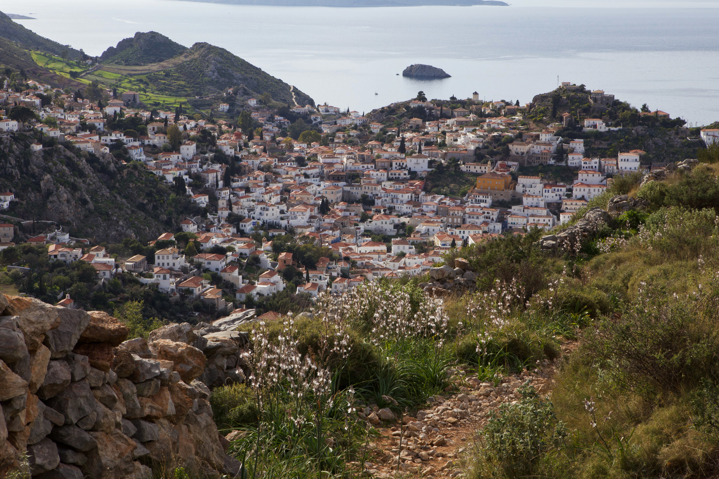 Hydra | Finding A Way To Be Free