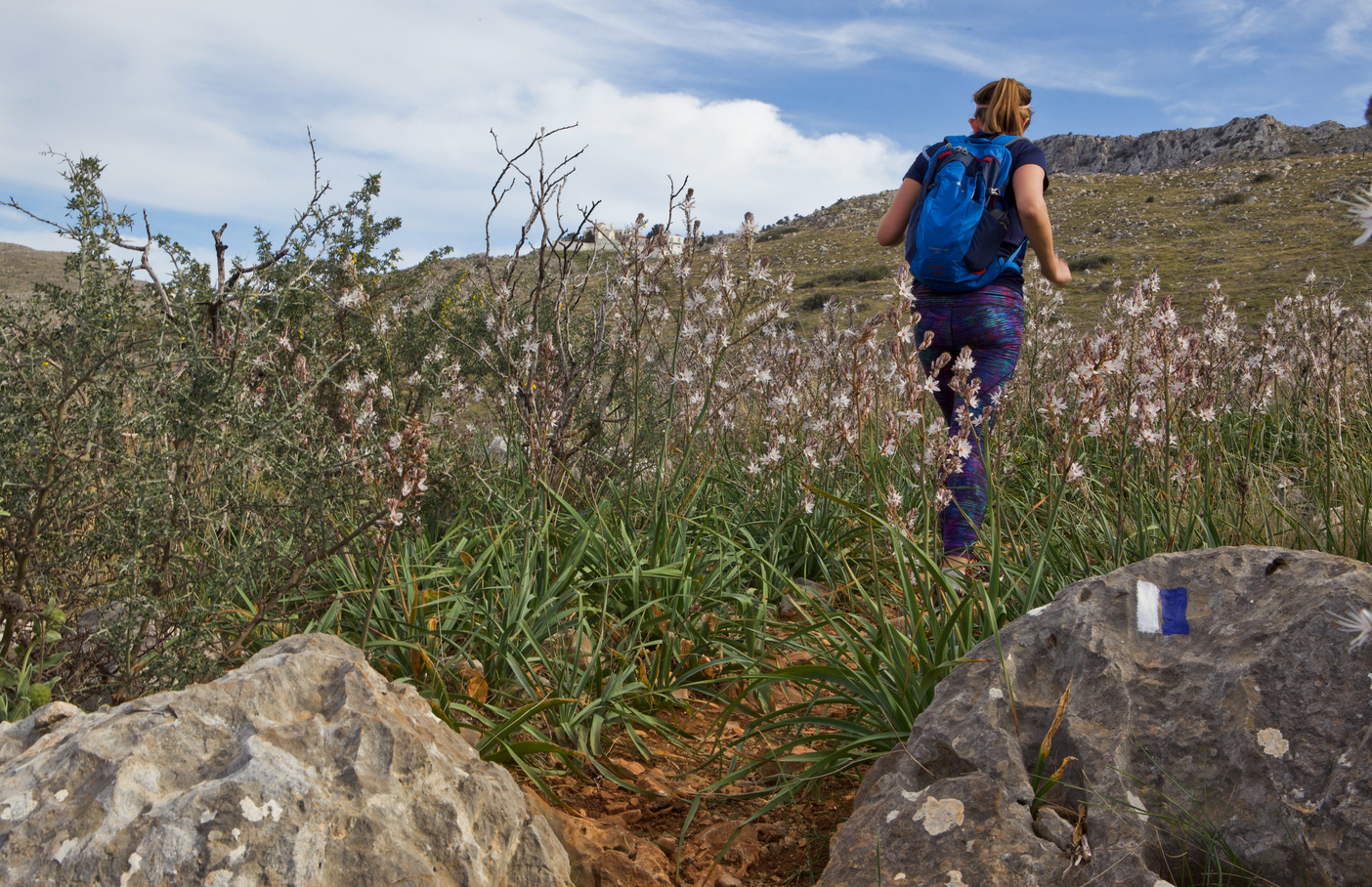 Hydra Hiking Trail